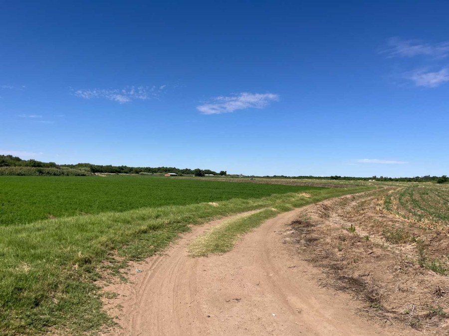 0 Bedroom Property for Sale in Middelpos Northern Cape